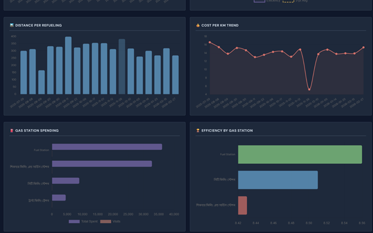 Fuel tracking log with cost per liter and efficiency data